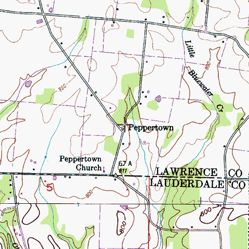 Topographic Map of Peppertown, TN