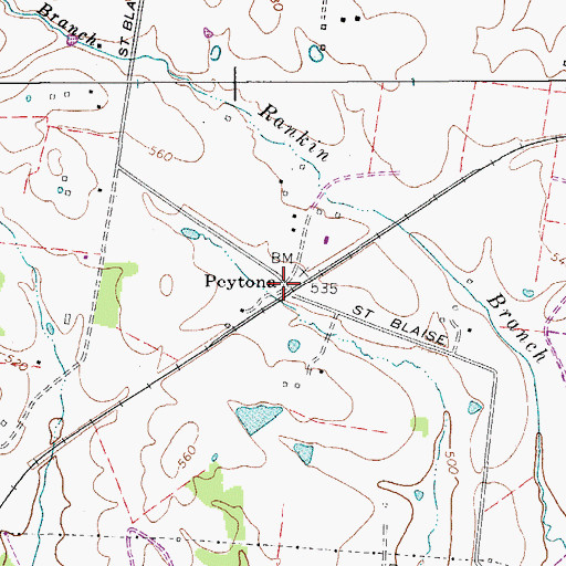 Topographic Map of Peytona, TN