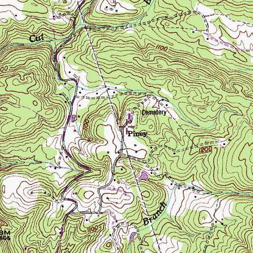 Topographic Map of Piney, TN