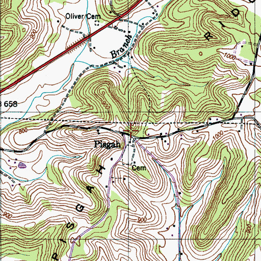 Topographic Map of Pisgah, TN