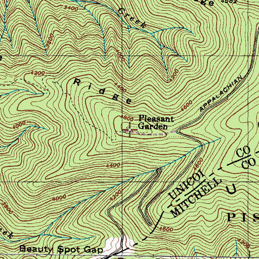 Topographic Map of Pleasant Garden, TN