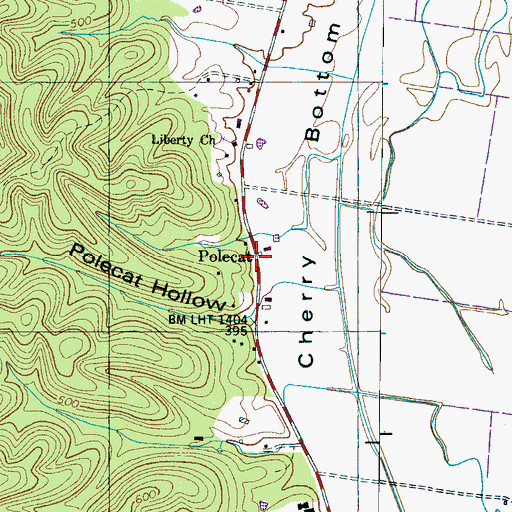 Topographic Map of Polecat, TN