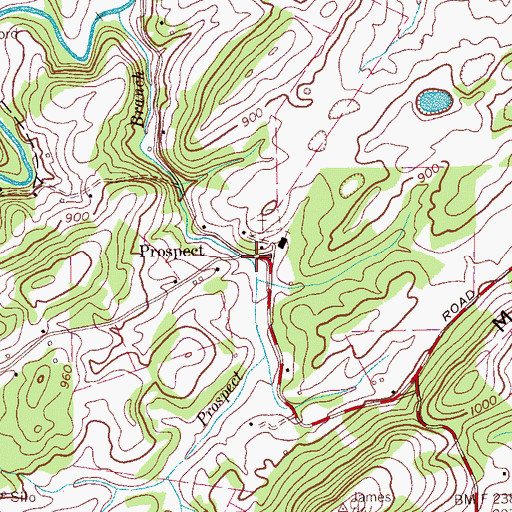 Topographic Map of Prospect, TN