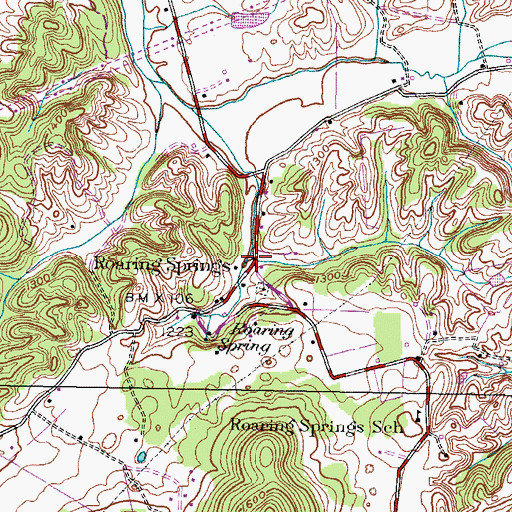 Topographic Map of Roaring Springs, TN