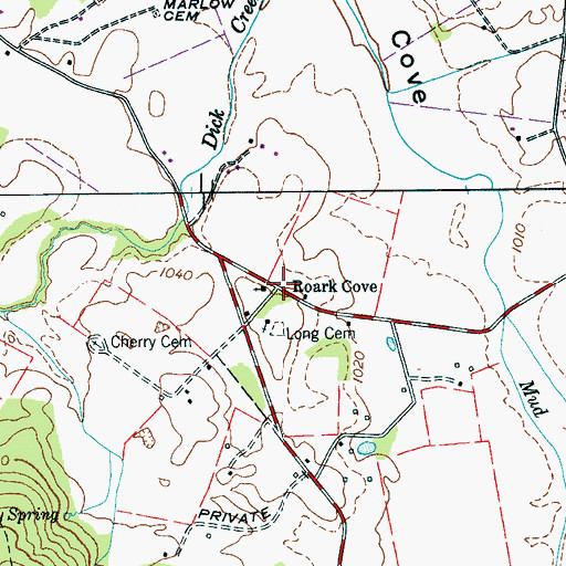 Topographic Map of Roark Cove, TN