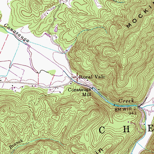 Topographic Map of Rural Vale, TN