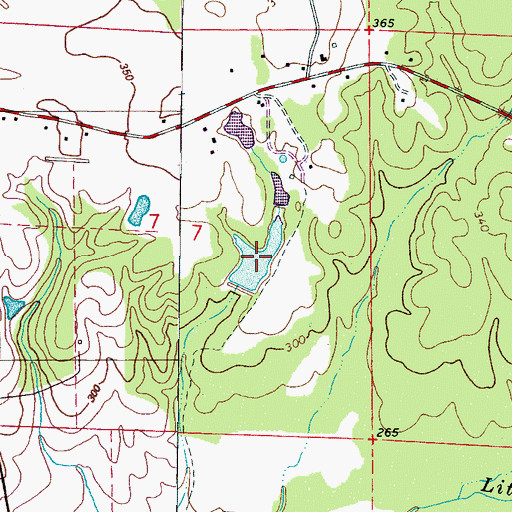 Topographic Map of Speeds Lake, AL