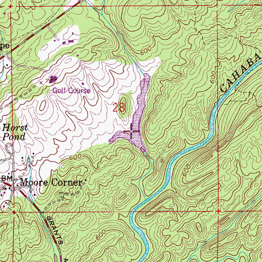 Topographic Map of Pine Tree Country Club Dam, AL