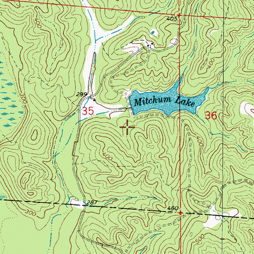 Topographic Map of Mitchum Lake Dam, AL