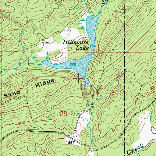 Topographic Map of Birmingham Saw Works Lake Dam, AL