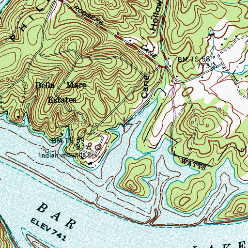 Topographic Map of Half Moon Island Boat Dock, TN