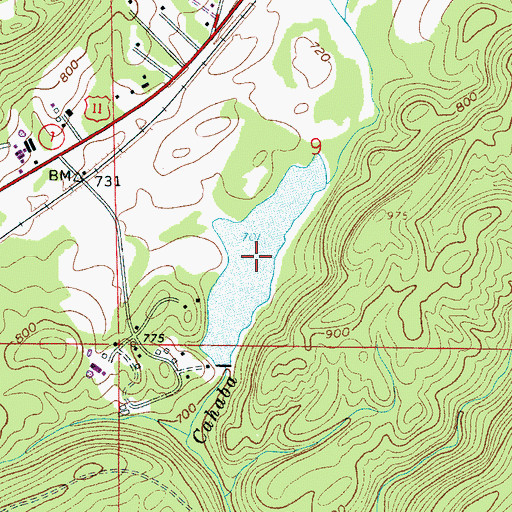 Topographic Map of Holcomb Lake, AL