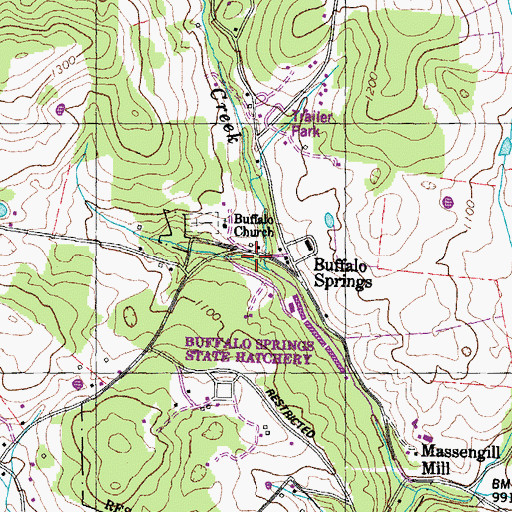 Topographic Map of Buffalo School (historical), TN