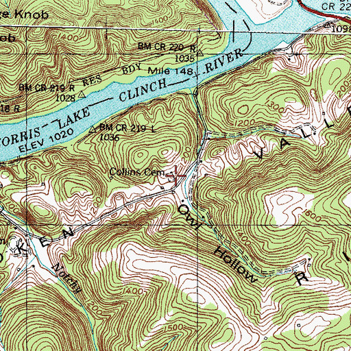 Topographic Map of Collins Cemetery, TN