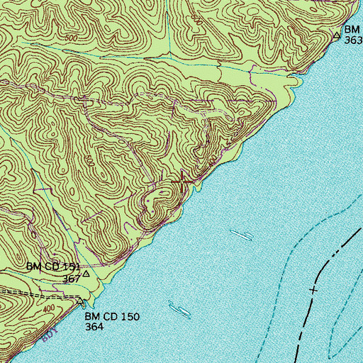 Topographic Map of Bethel College Camp, TN