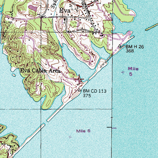 Topographic Map of Eva Fishing Camp Dock, TN
