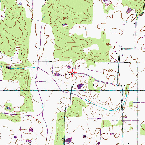 Topographic Map of Malins Store (historical), TN