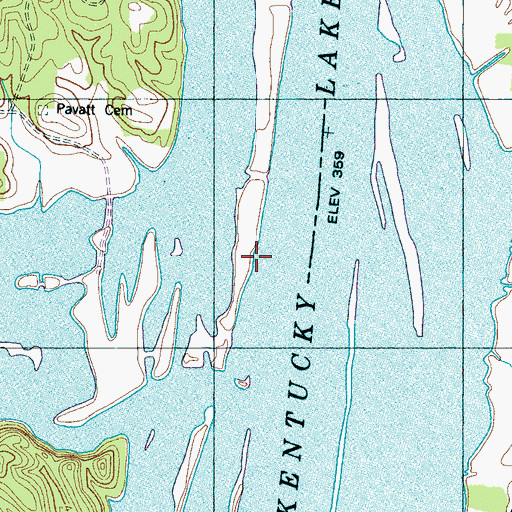 Topographic Map of Pavatt Landing, TN