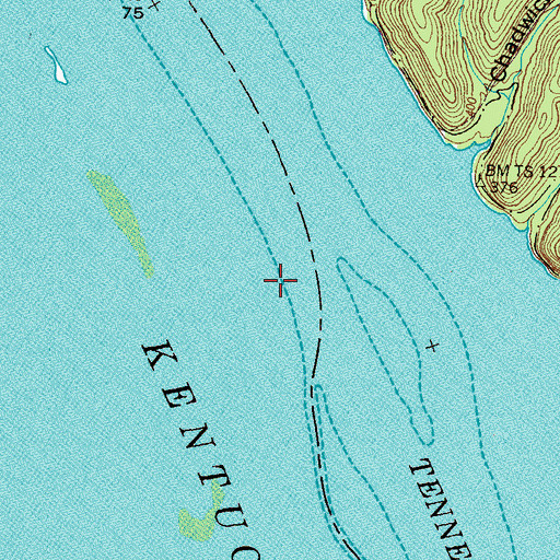 Topographic Map of Youngs Landing (historical), TN