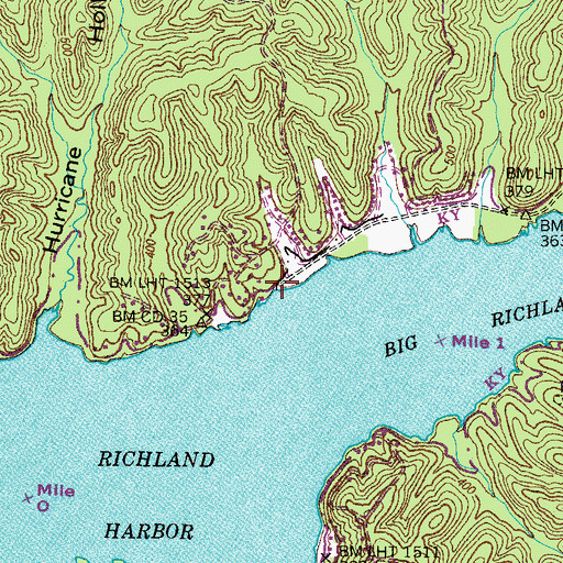 Topographic Map of Clydeton Dock, TN