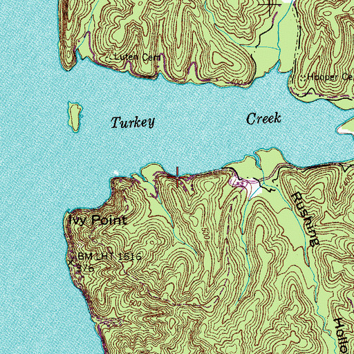 Topographic Map of Turkey Creek Dock, TN