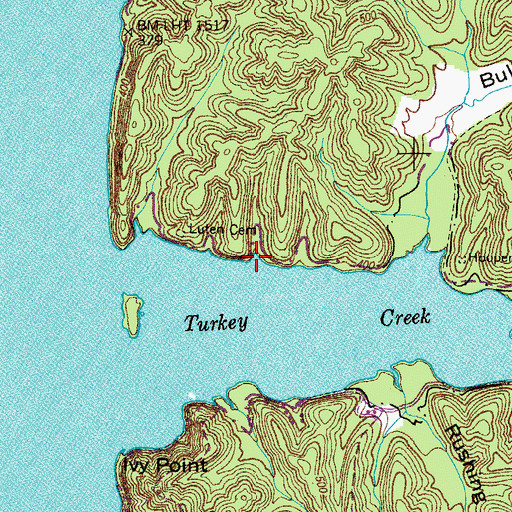 Topographic Map of White Chapel (historical), TN