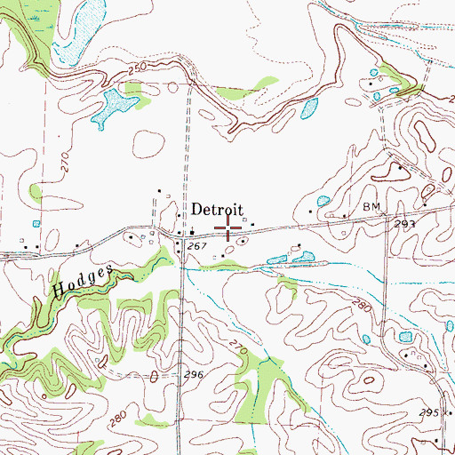 Topographic Map of Detroit School (historical), TN