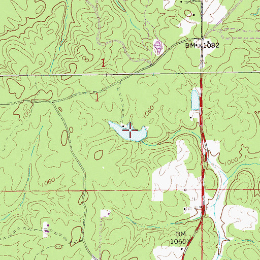Topographic Map of Nelsons Lake, AL