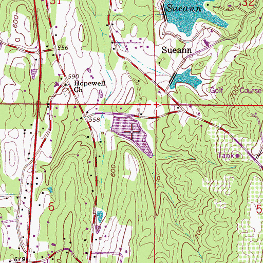 Topographic Map of Higginbothams Lake, AL