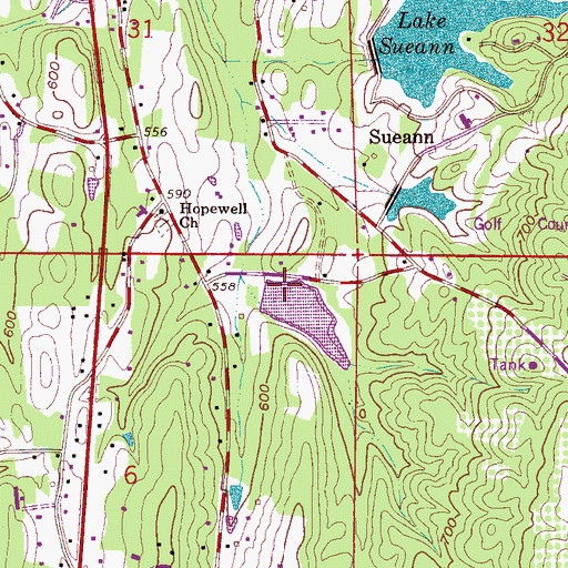 Topographic Map of Hopewell Lake, AL