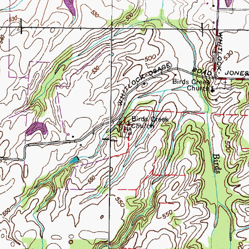 Topographic Map of Birds Creek School (historical), TN