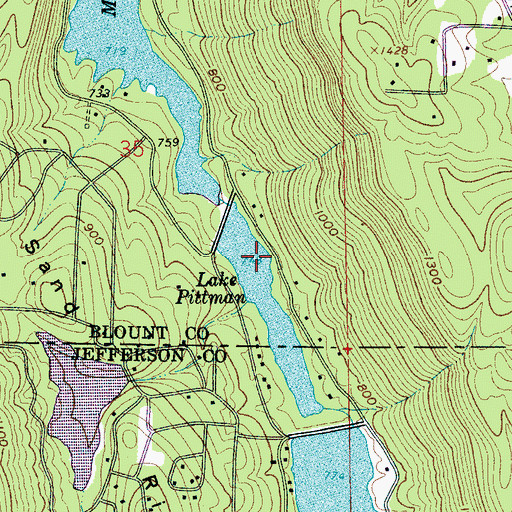 Topographic Map of Pittman Lakes Dam Number 2, AL
