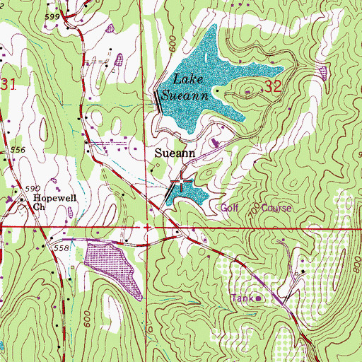 Topographic Map of Lake Sueann Dam, AL