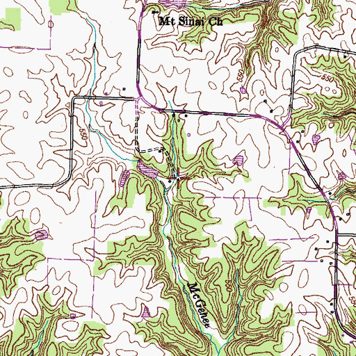 Topographic Map of Mount Sinai School (historical), TN