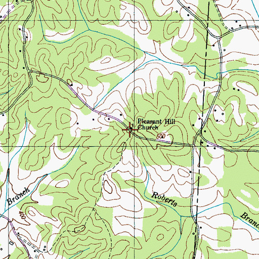 Topographic Map of Pleasant Hill Church, TN