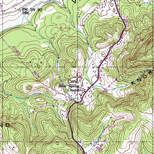 Topographic Map of Blue Springs Cemetery, TN
