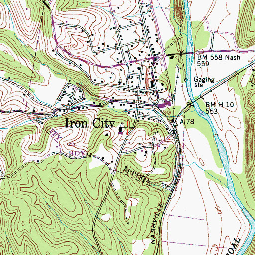 Topographic Map of Iron City School (historical), TN