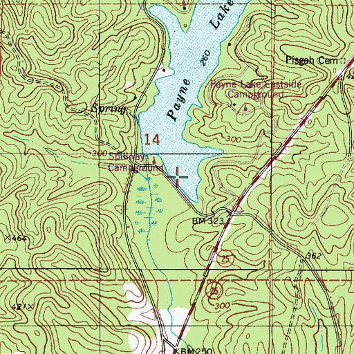 Topographic Map of Payne Lake Dam, AL