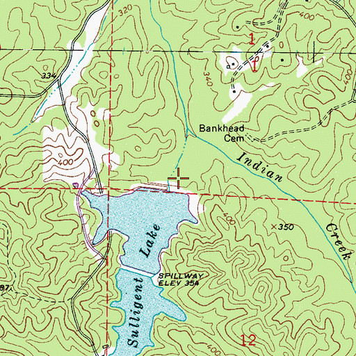 Topographic Map of Sulligent Dam, AL