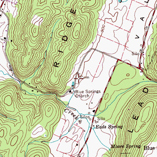 Topographic Map of Blue Springs Cemetery, TN