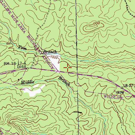 Topographic Map of Turner Cemetery Number Three, TN