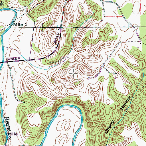 Topographic Map of Syler Cemetery, TN