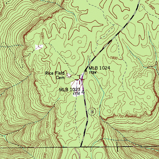 Topographic Map of Rice Field, TN