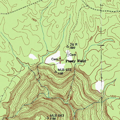 Topographic Map of Posey Field Cemetery, TN