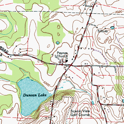 Topographic Map of Paynes Cemetery, TN