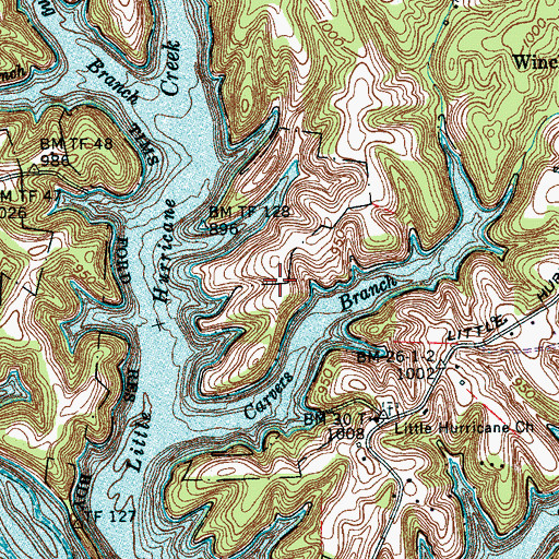 Topographic Map of Hudgins Cemetery, TN