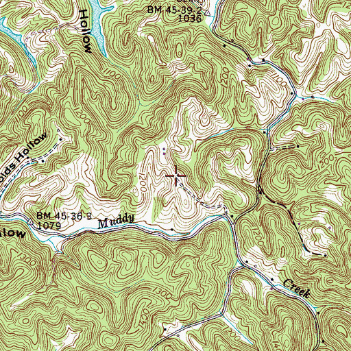 Topographic Map of Ray Cemetery, TN
