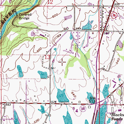 Topographic Map of Hazerig Pond, AL