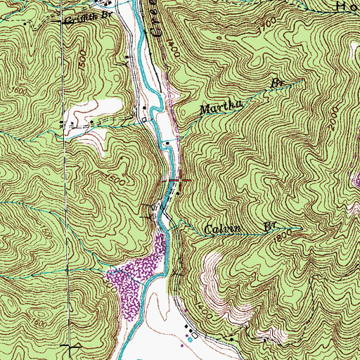 Topographic Map of West Brothers Mine, TN