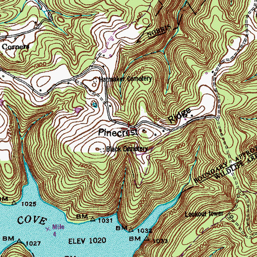 Topographic Map of Gaylor Cemetery, TN